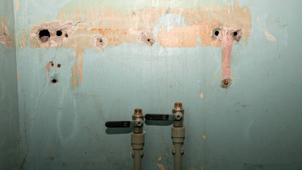 Best Fire Damage Restoration  in Indio, CA