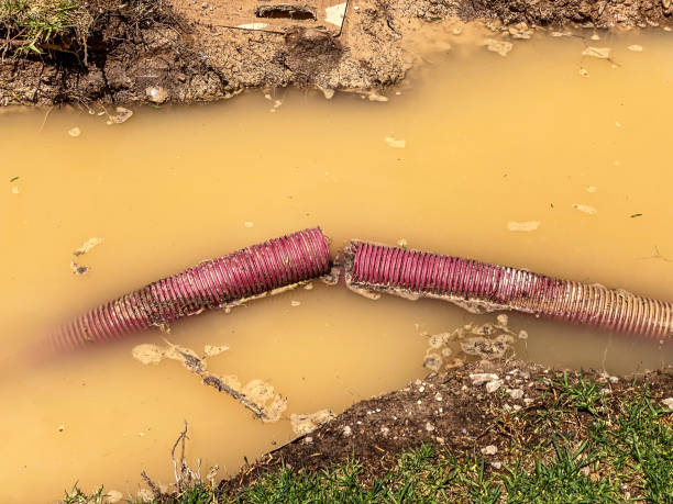Best Local water damage restoration  in Indio, CA