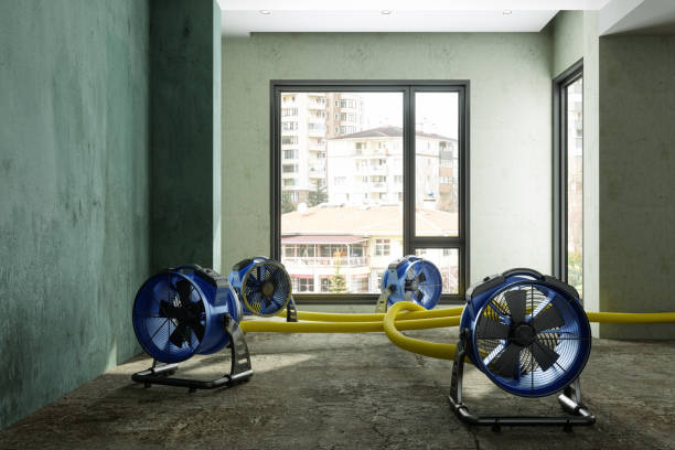 Best Water damage restoration near me  in Indio, CA