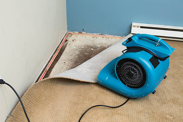 Best Water damage restoration near me  in Indio, CA